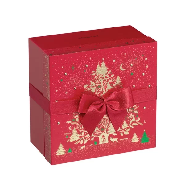 BOITE CUBE ROUGE SAPIN MERVEILLEUX - 20 CHOCOLATS ASSORTIS 1